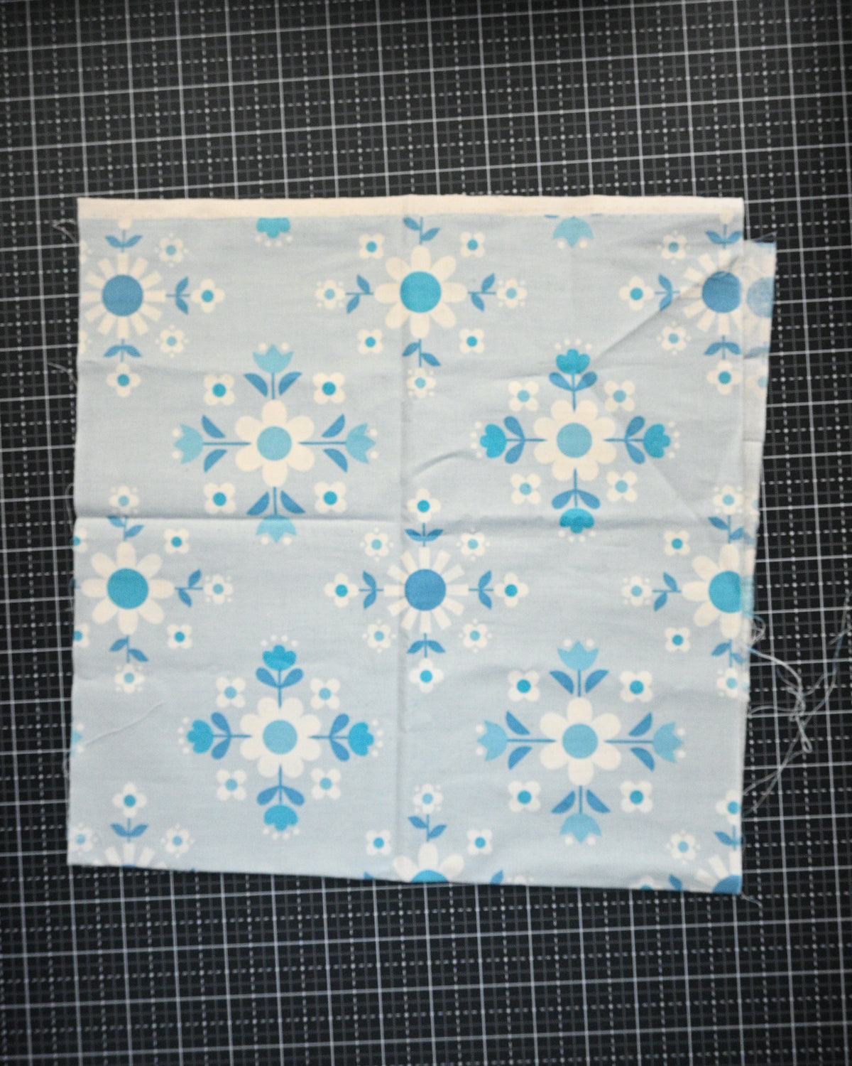 C+S Welsummer by Kim Kight - Scrap
