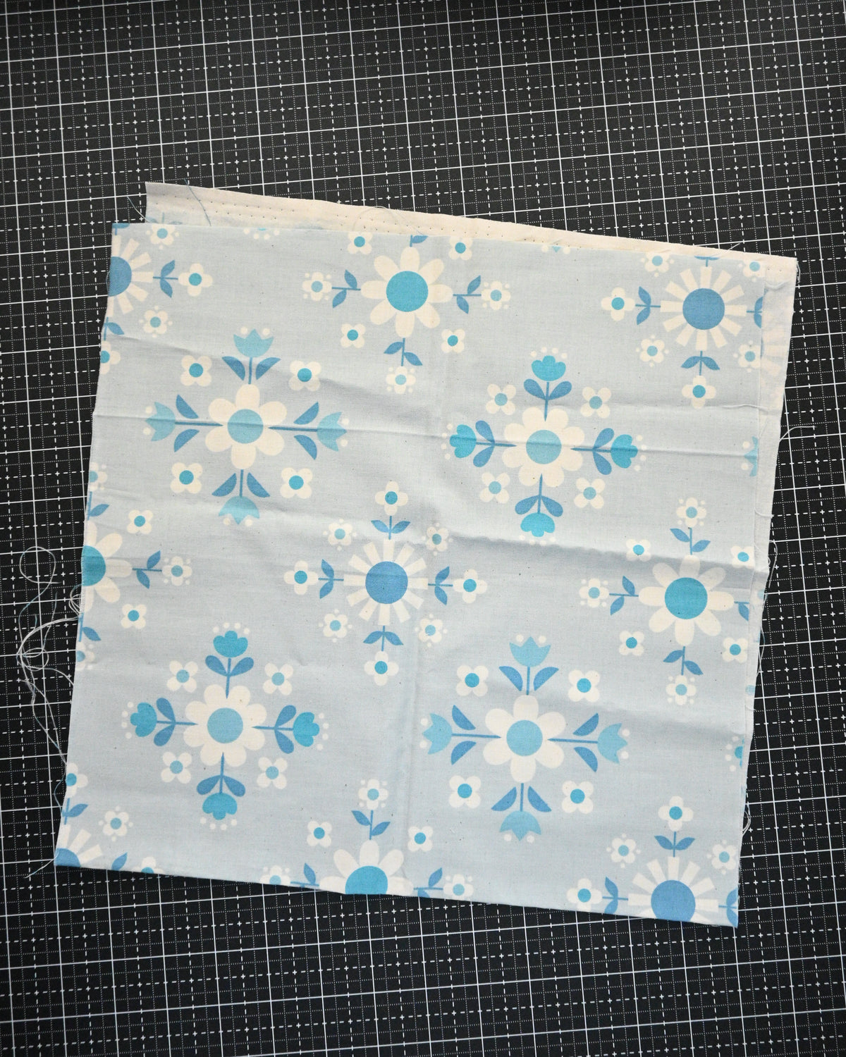 C+S Welsummer by Kim Kight - Scrap